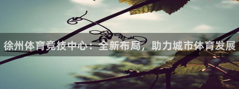 3377体育官网下载：徐州体育竞技中心：全新布局，助