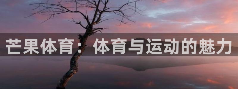 3377体育官方正版app娱乐：芒果体育：体育与运动