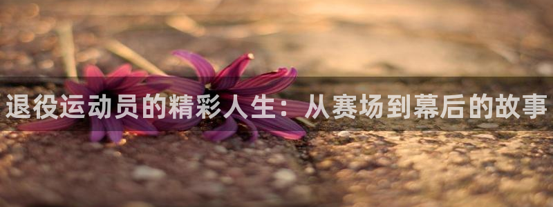 海南3377体育官网下载发展怎么样：退役运动员的精彩人生：从