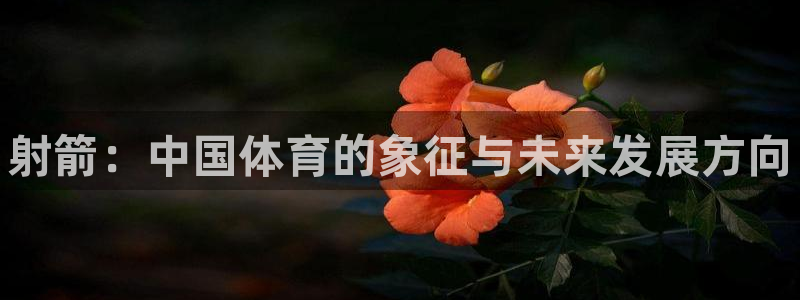 3377体育官方正版app科技：射箭：中国体育的象征与未来发