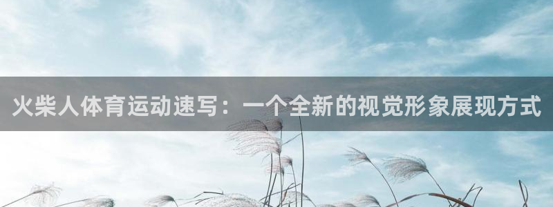3377体育官方正版app娱乐平台：火柴人体育运动速