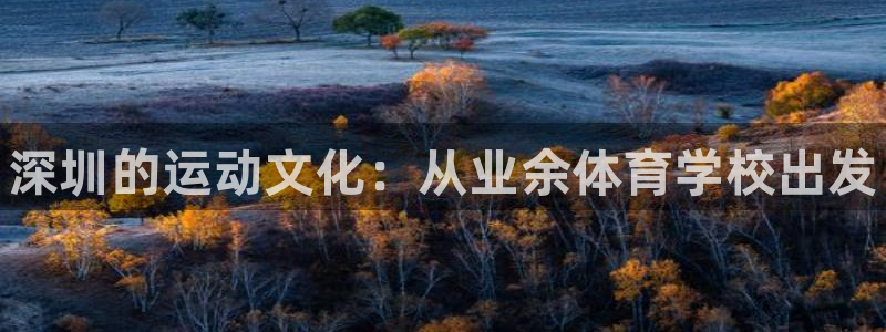 3377体育官方正版app五金厂：深圳的运动文化：从业余体育