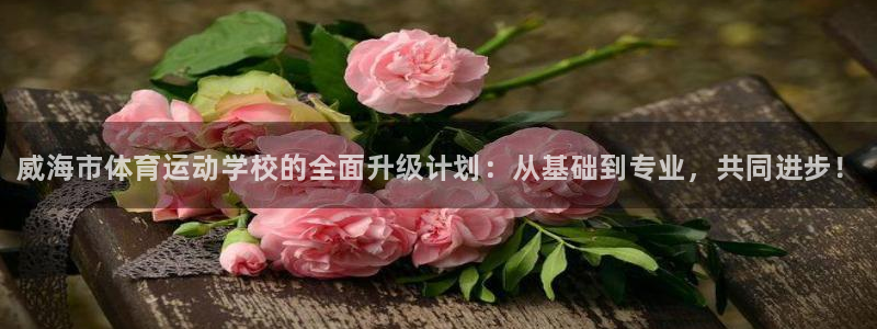 3377体育官方正版app集团官网网址：威海市体育运动学校的