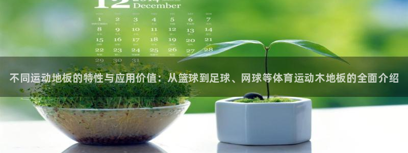3377体育官方正版app五金厂：不同运动地板的特性与应用价