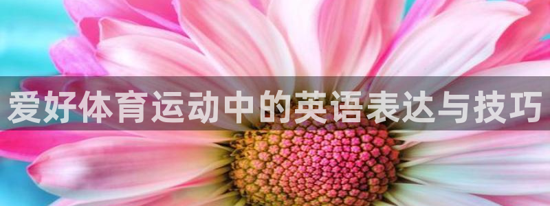 3377体育官方正版app代理：爱好体育运动中的英语表达与技