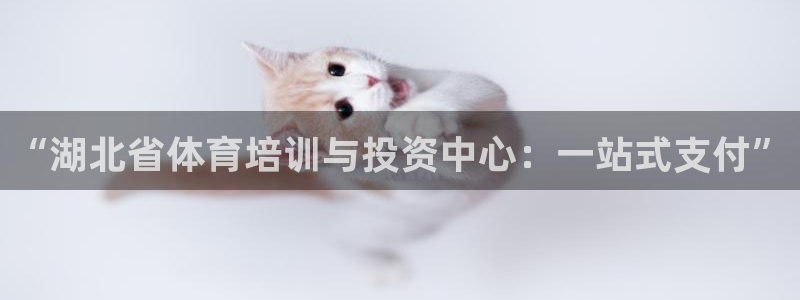 3377体育官网下载：“湖北省体育培训与投资中心：一