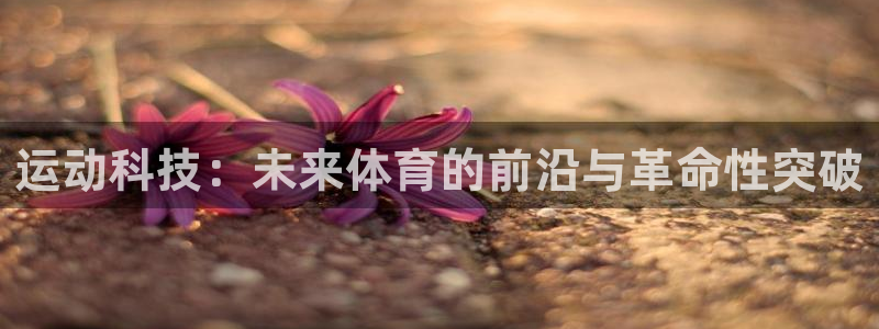 德国3377体育官方正版app集团：运动科技：未来体育的前沿