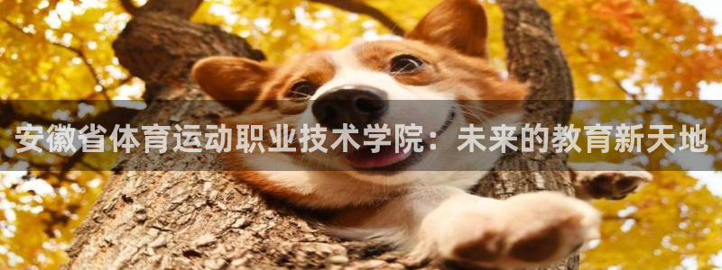 3377体育官网下载平台注册要钱吗是真的吗：安徽省体育运动职
