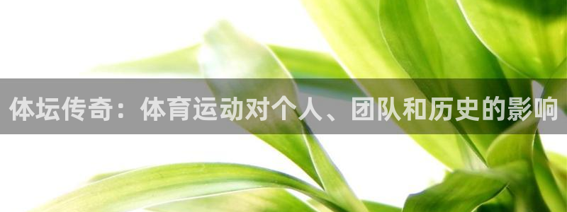 3377体育官方正版app新能源