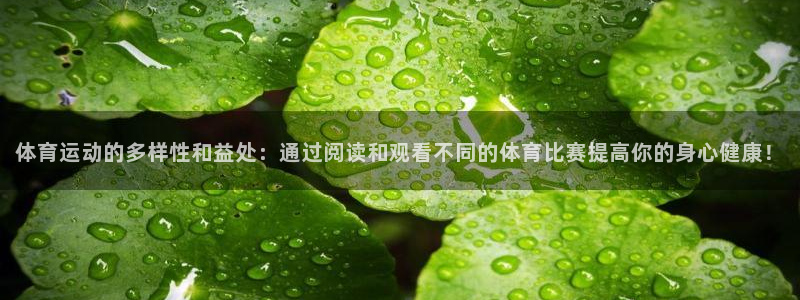 3377体育官方正版app集团官网首页网址：体育运动