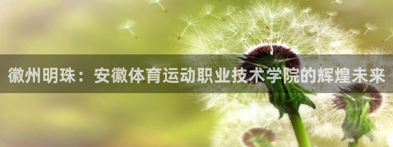 3377体育官方正版app集团官网首页：徽州明珠：安徽体育运
