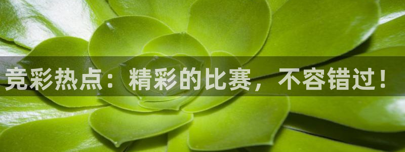 3377体育官方正版app新能源：竞彩热点：精彩的比