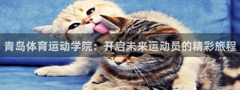 3377体育官网下载平台是正规平台吗安全吗：青岛体育运动学院