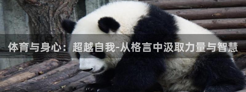 海南3377体育官网下载：体育与身心：超越自我-从格言中汲取