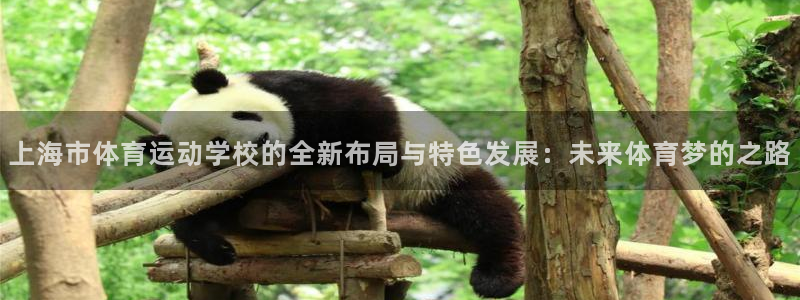 3377体育官网下载平台注册要钱吗：上海市体育运动学校的全新