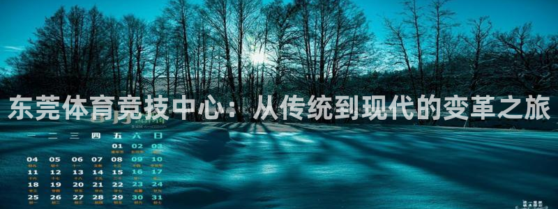 3377体育官方正版app官方：东莞体育竞技中心：从