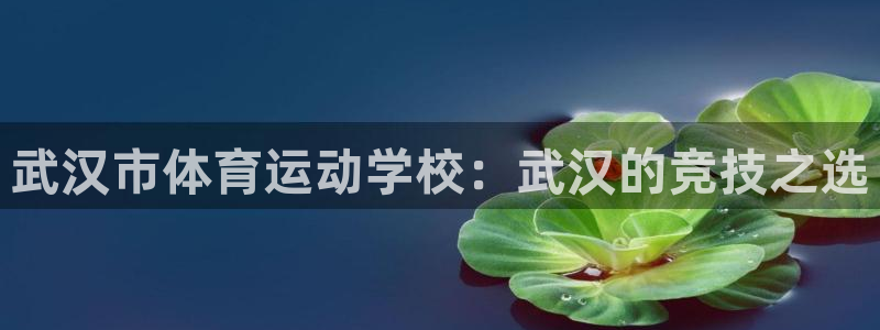 海南3377体育官网下载发展怎么样