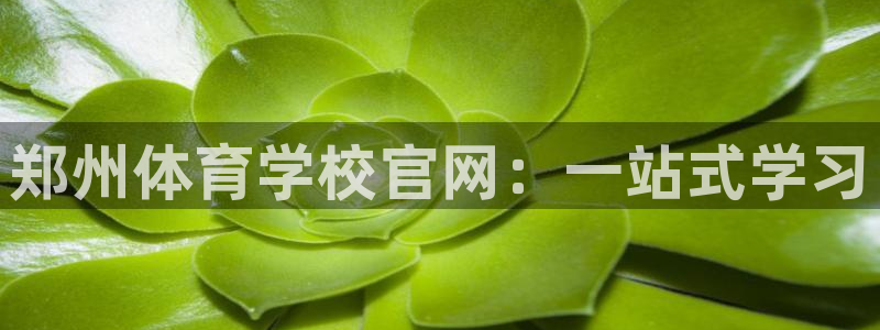 3377体育官网下载平台注册要钱吗：郑州体育学校官网：一站式