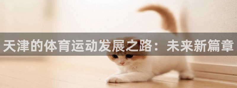 3377体育官方正版app开户：天津的体育运动发展之路：未来