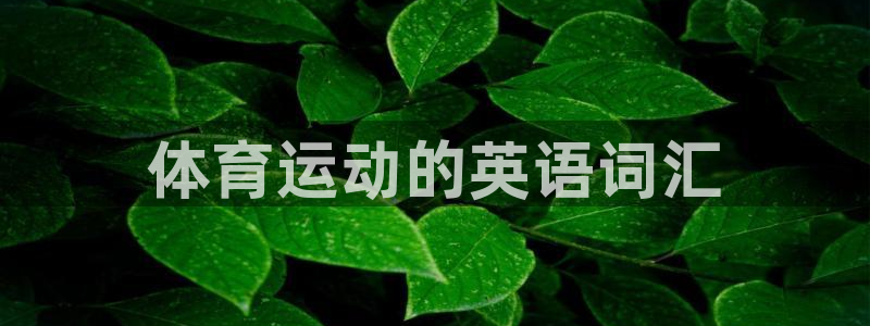 3377体育官方集团官网：体育运动的英语词汇
